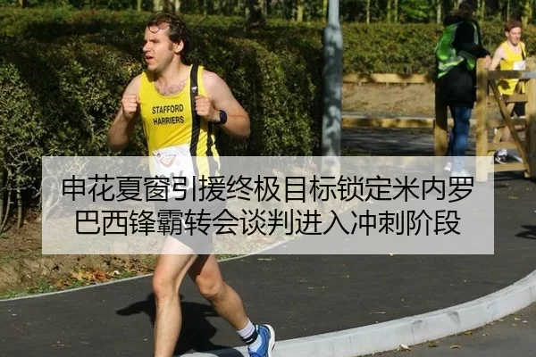 申花夏窗引援终极目标锁定米内罗 巴西锋霸转会谈判进入冲刺阶段